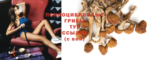 мескалин Аркадак