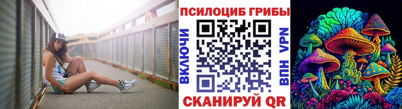 Купить где  Михайловка  Галлюциногенные грибы GOLDEN TEACHER 