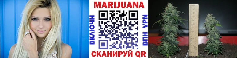 Купить  Михайловка  Конопля планчик 